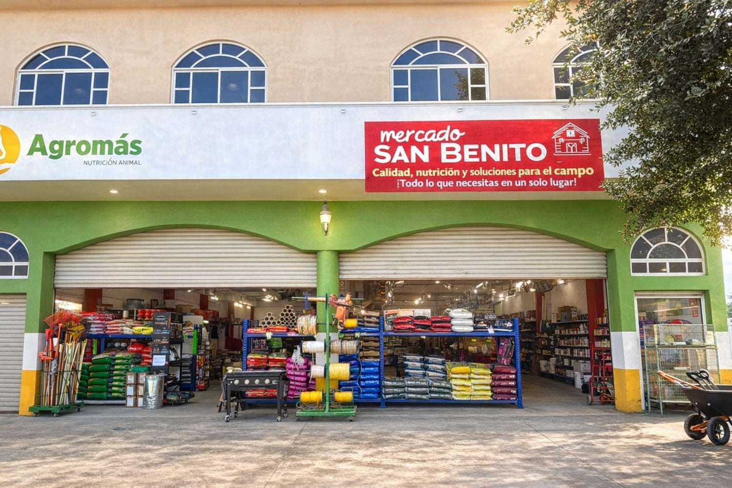 WhatsApp Image 2026-02-24 at 5.16.51 PM.jpeg