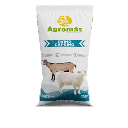 Borrego Engorda 25Kg